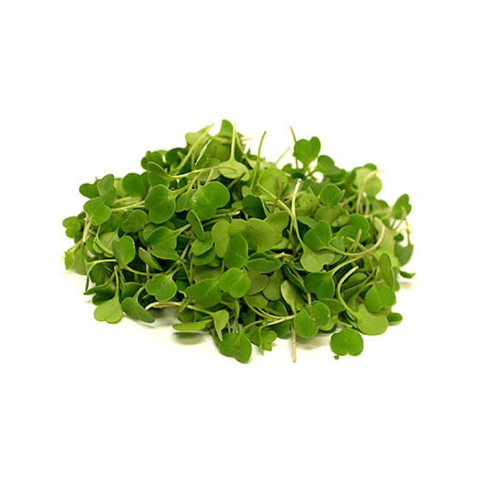 Default alternative text describing the image.