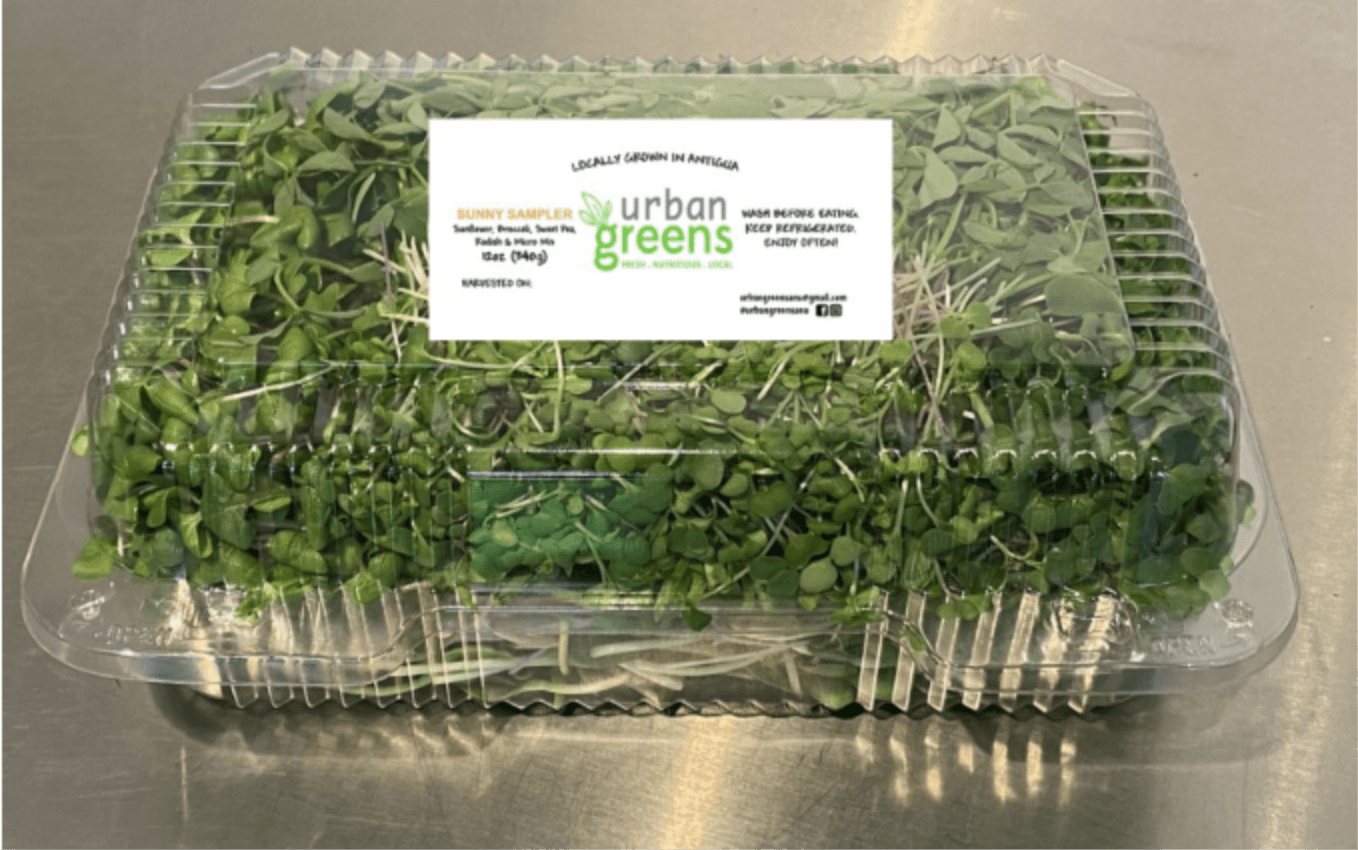 Default alternative text describing the image.