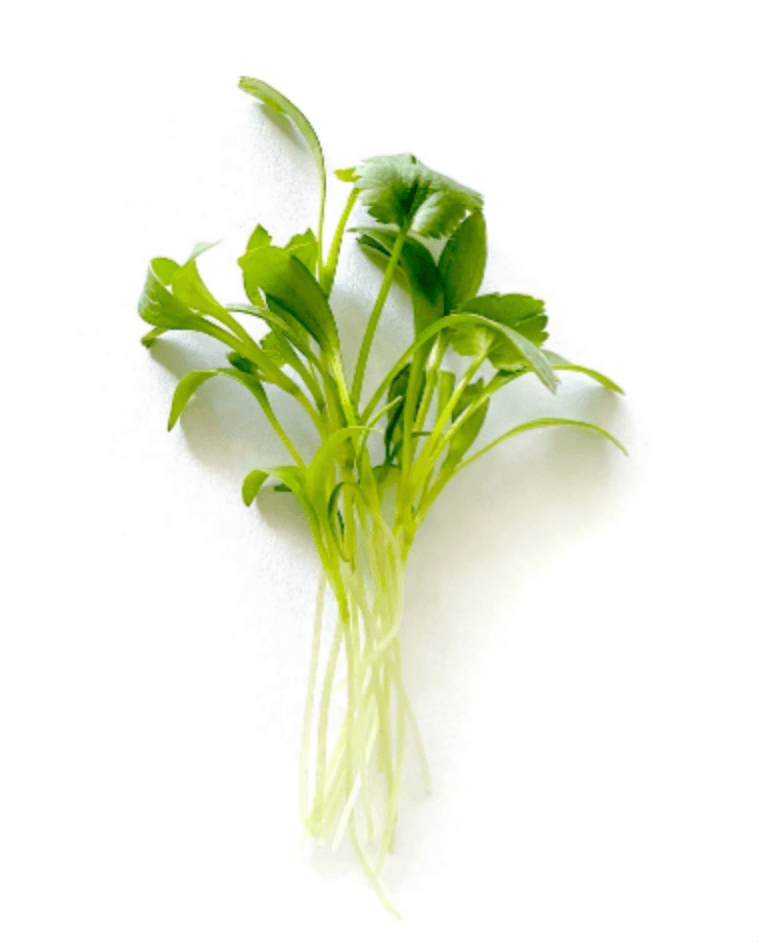 Default alternative text describing the image.