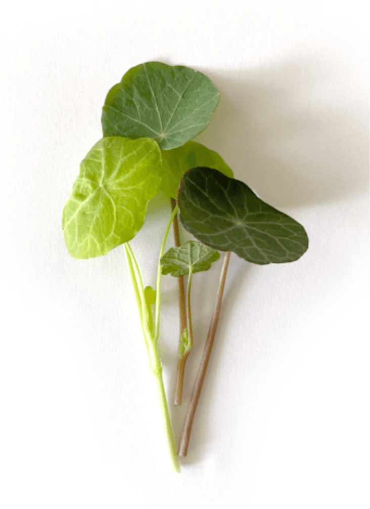 Default alternative text describing the image.