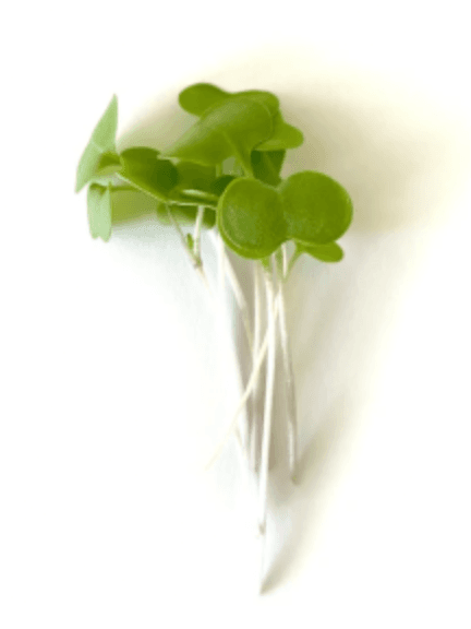 Default alternative text describing the image.